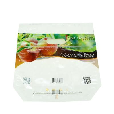 China Moisture Proof Makers Custom Printed Mylar Bags Heat Seal Fruit Vent Plastic Bag For Apple/Oranges/Grape for sale