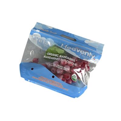 China Moisture Proof Custom Printed Resealable Packaging Bags Zip Bags Package Plastic Pouches For Fruit Packaging for sale