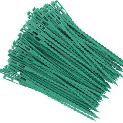 China Plant Tile 100 Pieces Adjustable Plastic Multi-Use Twist Ties Plant Garden Garden Tile Ties For Safe Vineyard for sale