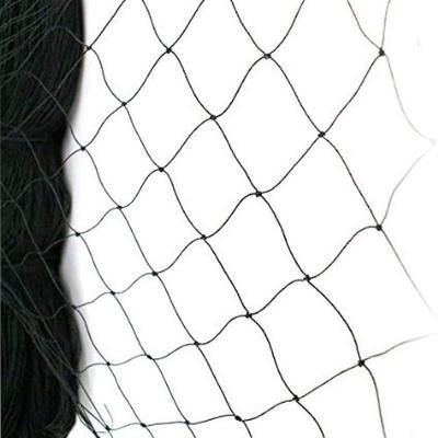 China Black Nylon Anti-bird Net Anti-bird Chicken Fruit Protection Net Nylon Net for sale