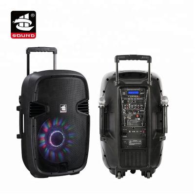 China Disco\Bar\Club\Home PS-1215BT-IWB (LED) 15 Inch BT Woofer Radio Rechargeable Cart Speaker with USB for sale