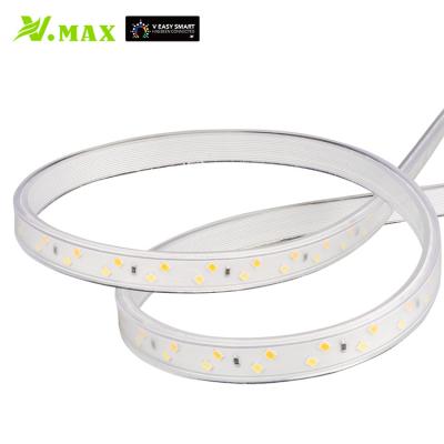 China Color Switch Vmax COB 2835 Strips Illumination Bedroom Lighting Waterproof Led Rope Stripe Lights Smart Strip Light For Home for sale