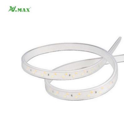 China Garden park/street/pavement/pathway/parking lot/private road Vmax 220V smart RGB flexible waterproof ip65 outdoor led strip lights with outdoor for sale