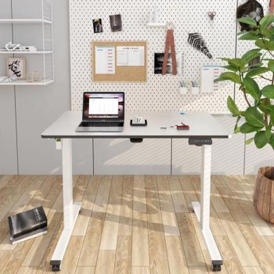 China Factory Direct Selling High Quality Electric Height Adjustable Computer Staff (Height) Adjustable Desk for sale