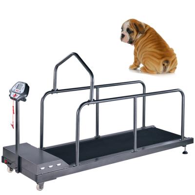 China Sustainable hot ssle pet treadmill dog treadmill treadmill for dogs for sale