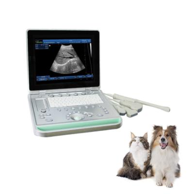 China Portable Veterinary Ultrasound Scanner Veterinary Equine Ultrasound Equipment VET-2042 for sale