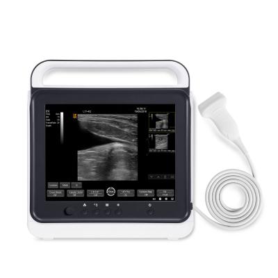 China Portable Ultrasound Scanner Color Doppler Veterinarian Contact B/W Ultrasound Scanner VET-2045 for sale