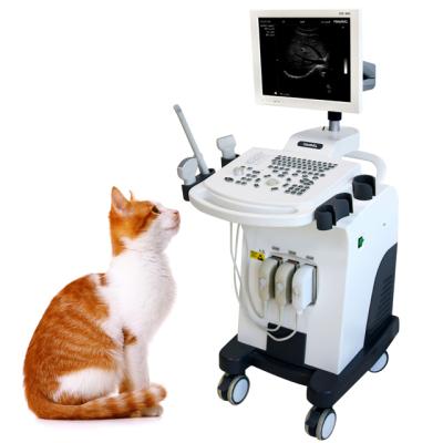 China Metal China Veterinary Ultrasound Machine With Trolley For Pet Excavation Animal Cat Use Cheap Price for sale