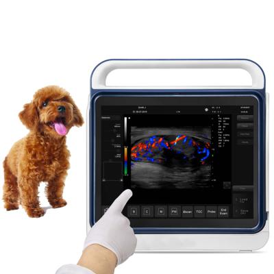 China Portable Veterinary Ultrasound Machine Metal Ultrasound Veterinary Ultrasound Machine For Animals for sale