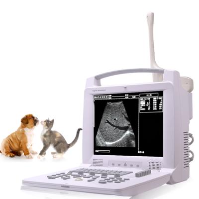 China Full Iron Equipment Veterinary Veterinary Portable Digital B/W Ultrasound Scanner For Animal for sale