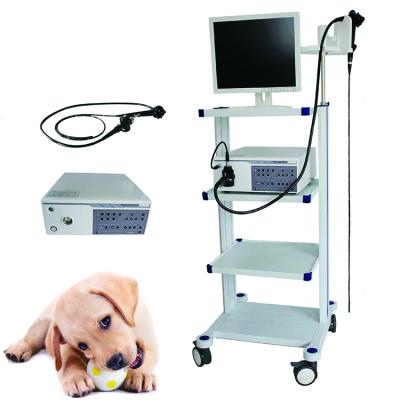 China Metal Hospital Medical Equipment Electric Veterinary Video Endoscope Machine For Animals for sale