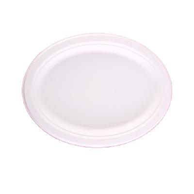 China Environmental Protection Disposable Water And Oil Resistant Sugar Cane Bagasse Disposable Tableware Dish for sale