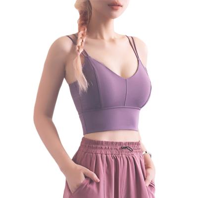 China LIFTJOYS Women's Fitness Sports Bra Breathable Sports Bra Wear Yoga Backless Quick Dry Bra for sale