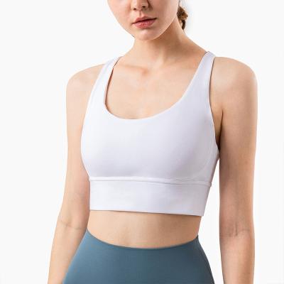 China Cross Plus Size LIFTJOYS Backless Plus Size Sports Bra Hot Sexy Nylon Spandex Customized Logo For Women for sale