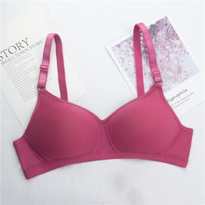 China Wholesale One Piece Sexy Wire Free Plain Dyed Big Size Bra For Women Bra Cotton for sale