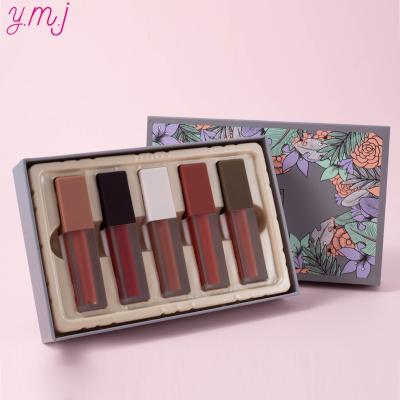 China Hot Product Lip Gloss Waterproof Lipsticks Set 5 Colors Matte Waterproof Lipgloss Sets for sale