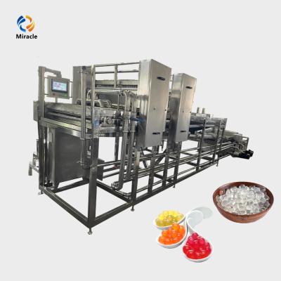 China Full Automatic Crystal Tapioca Pearls Bubble Tea Factory Skipping Boba Production Line for sale