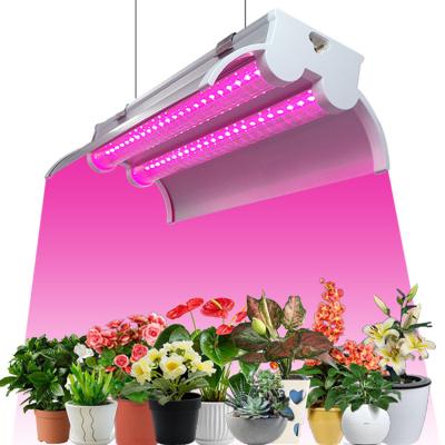 China Dubbele rij T8 LED-kweeklamparmatuur 36W koppelbare kweeklampstrips voor kamerplanten Te koop