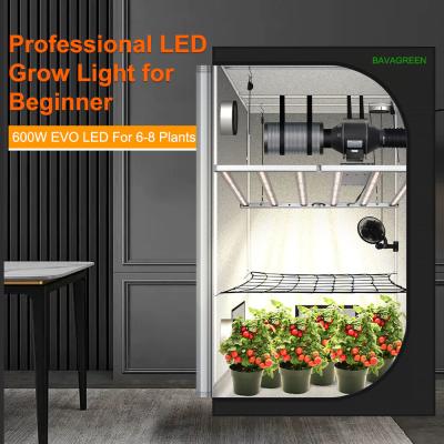 China BAVAGREEN 600W LED Grow Light Samsung LM301H EVO UV IR Control Commercial Bar Growing Lamp For 120x120cm Plant Tent for sale