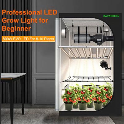 China BAVAGREEN 800W Samsung LM301H EVO Commercial Plant Lamp Full Spectrum UV IR LED Grow Light for Horticulture Greenhouse for sale