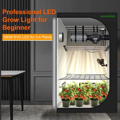 中国 BAVAGREEN 300W Samsung LM301H EVO Mint White LED Grow Light Full Spectrum UV IR LED Plant Lamp for 120x60 Growbox 販売のため