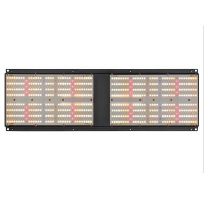 Cina Coltivi la luce progressiva del bordo LM301B LED della tenda 2x4 SAMSUNG Quantum 240 watt in vendita