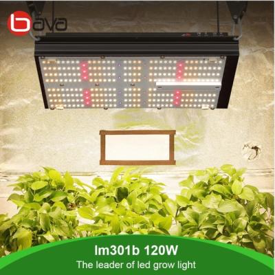 China El tablero ULTRAVIOLETA SAMSUNG LM301B LED del IR 120W Quantum crece 306 umol/s ligeros en venta