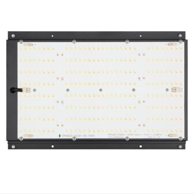 China Diodo emissor de luz UV impermeável de IP20 2x4 IR para crescer a placa clara do quantum de SAMSUNG 301b à venda