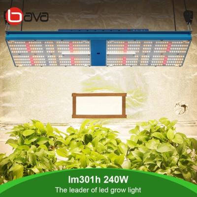 China 240W SAMSUNG LM301H Board V4 QB 550 UV IR LED Grow Light Meawell Driver for sale