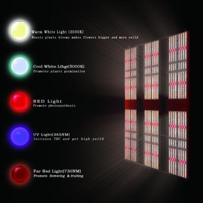 Китай Ультрафиолетовое СИД 385nm LM301H растет светлое ETL 720w 1872umol/S 4 переключает продается