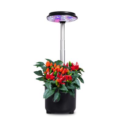 China Wasser-Wasserkulturbehälter AC90V LED wachsender System-0.75L für Garten zu verkaufen