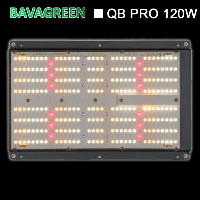 China BAVAGREEN 120W Quantum Board Qb288 LM301H Dimmable LED Grow Light for sale