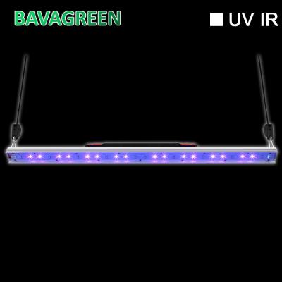 China 30w Uvb UVA llevado crecen la luz suplemental del aumentador de presión de la floración de la barra ligera para la planta interior en venta