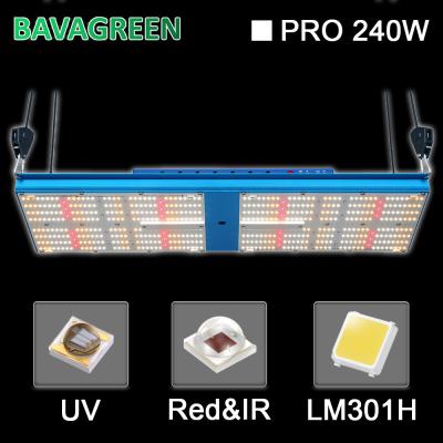 China BAVA Quantum Board 2700k 240W LED Grow Light RED UV For Medical Plant for sale