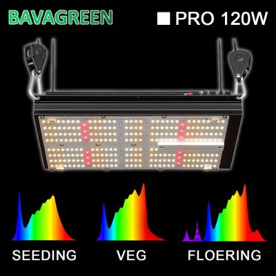 중국 120W 3000k 5000k UV IR 빨강 LM301B 특정량 이사회 민웰 드라이버 판매용