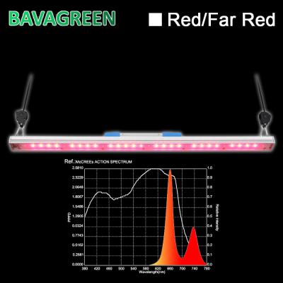 China o diodo emissor de luz vermelho de 30W 660nm cresce SAA claro à venda