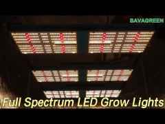 720W Red UV IR Full Spectrum LED Grow Lights for Indoor Horticulture Greenhouse