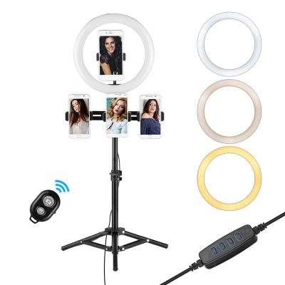 China Selfie Ring Light Kit 12inch LED Ring Light Set Ball Head Remote Tripod Shutter with 4 Phone Holders for TikTok YouTube ZMLD25 for sale