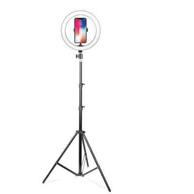 China 12 Inch Selfie Ring Light Stand 170cm Led Lightweight Vlogging Equipment Kit With Phone Holder And Remote Shutter ZMLD45 for sale