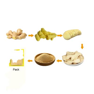 China High Efficiency Industrial Ginger Stripper Vegetable and Fruit Washing Peeler Machine Ginger Brush Machine for sale