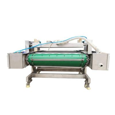 China High Speed ​​Continuous Food Conveyor Belt Pump Sealing Packeg Machine Vacuum Sealer For Food for sale