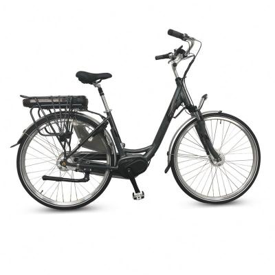 China Hot Selling Aluminum Alloy Large Capacity Battery 28inch City Waterproof Foldable Electric Bike For Adult for sale