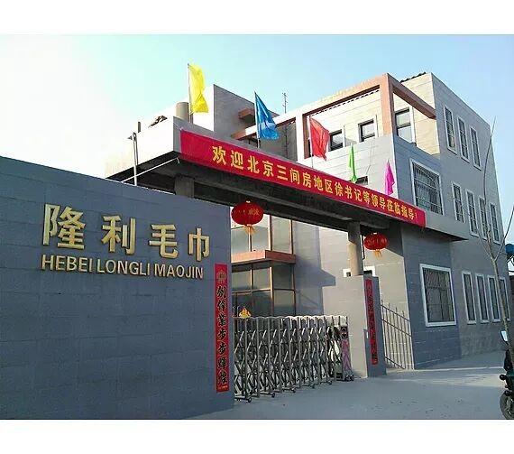 Fornitore cinese verificato - Hebei Mood Textile Co., Ltd.