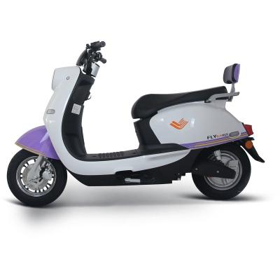 China Carbon Fibre Cenbird Disc Brake 2 Wheel Citycoco Personal Transporter Cheap Price 1000w Electric Scooter for sale