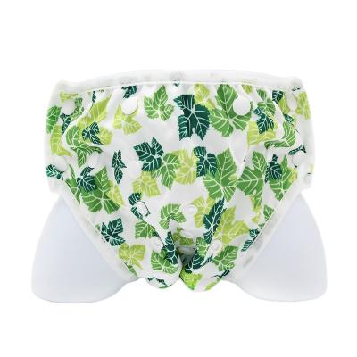 China New Arrival Printed Cloth Diaper Baby Sale Swim Diapers Waterproof Washable Diaper Baby Swimming Pants for sale