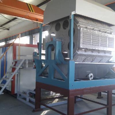 China Egg tray factory line machine tray directly for sale