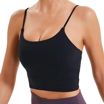 China Breathable newcomer tik tok yoga seamless sports bra short set fitness apparel workout set gym fitness clothes for sale