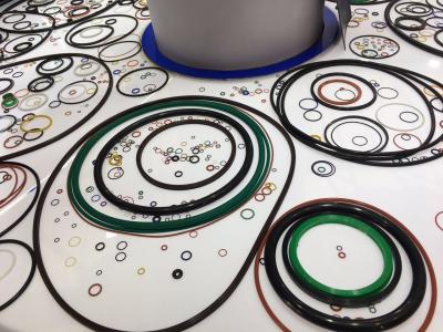 China Multi Colored Nitrile Butadiene Rubber O Ring Oil Resistant OEM / ODM Service for sale