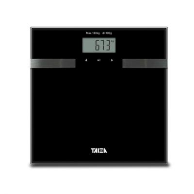 China Auto-on Function New Products Digital Body Weight Body Fat Scale 2020 for sale