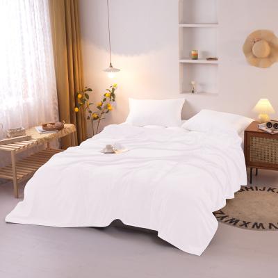 China New Large PORTABLE Huge Blanket 10